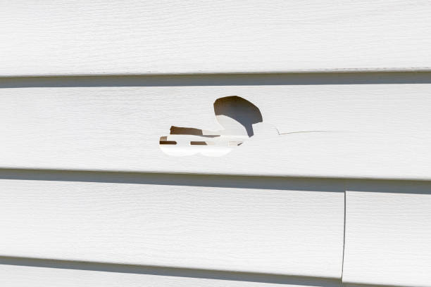 Best Brick Veneer Siding  in Palo Alto, CA