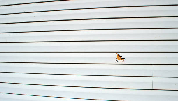 Best Stucco Siding  in Palo Alto, CA