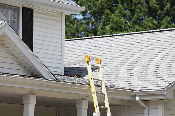 Best Storm Damage Siding Repair  in Palo Alto, CA