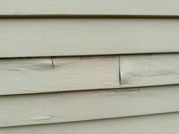 Best Siding for New Construction  in Palo Alto, CA